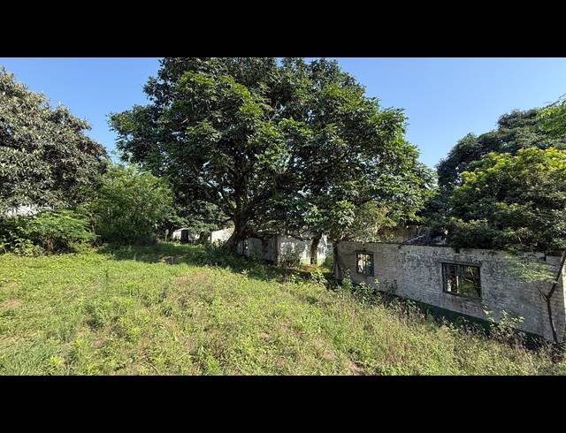 104,000M² FARM FOR SALE IN BALLITO RURAL